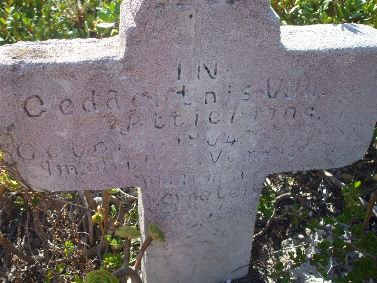 PRINS Attie 1884-1932