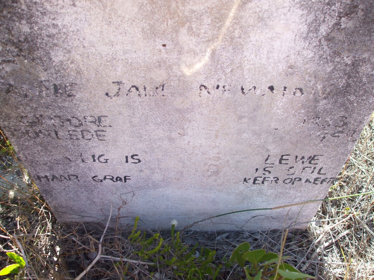 NEWMAN A.J. 18?3-1949