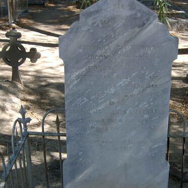 T - Vanne :: Surnames - T