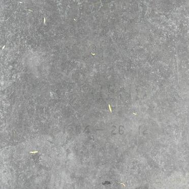 VIVIER Gert Hendrik 1904-