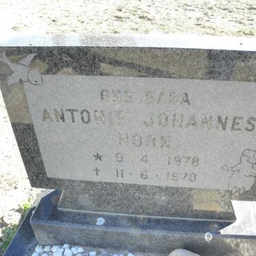HORN Antonie Johannes 1978-1978