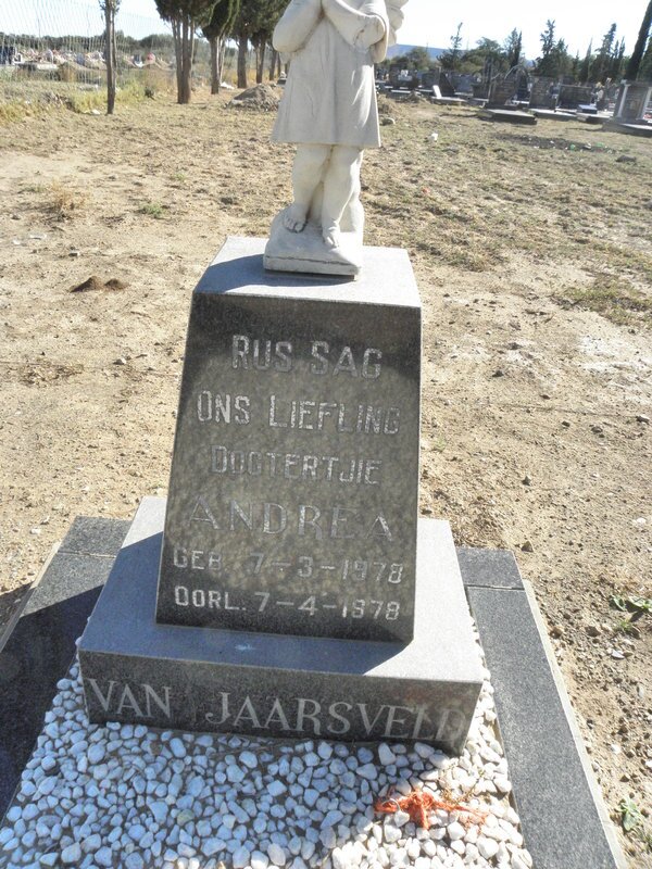 JAARSVELD Andrea, van 1978-1978