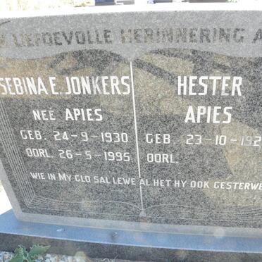 JONKERS Sebina E. nee APIES 1930-1995 :: APIES Hester 1925-