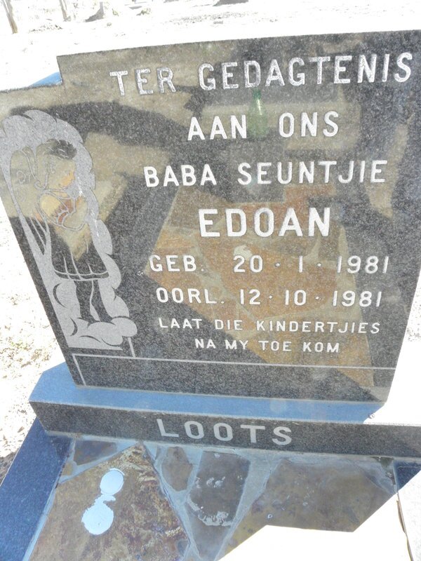 LOOTS Edoan 1981-1981