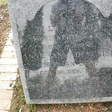 DEVENISH Anna nee van ECK 1900-1956