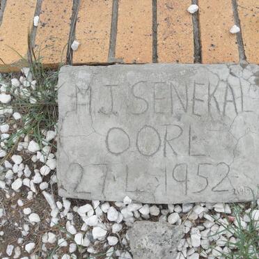 SENEKAL M.J. -1952