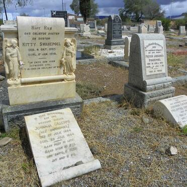 3. Oorsig SWANEPOEL grafte