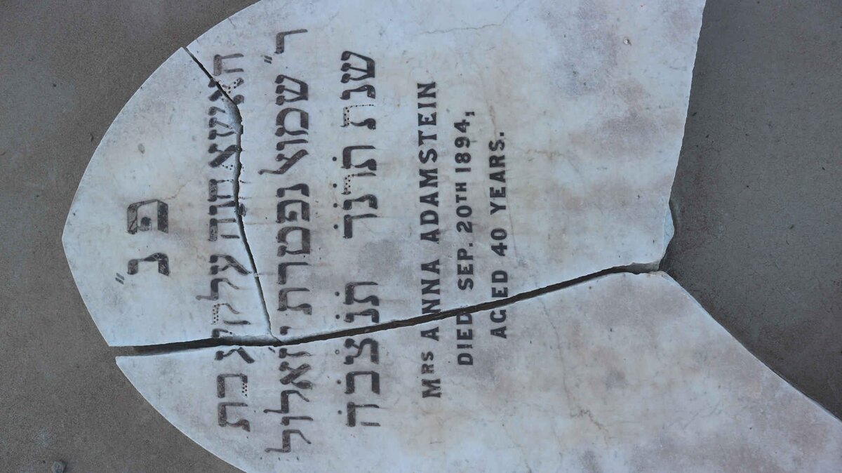 ADAMSTEIN Anna -1894