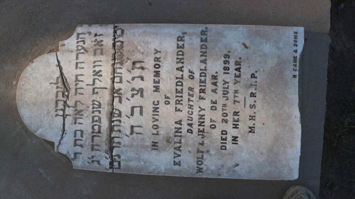 FRIEDLANDER Evalina -1899