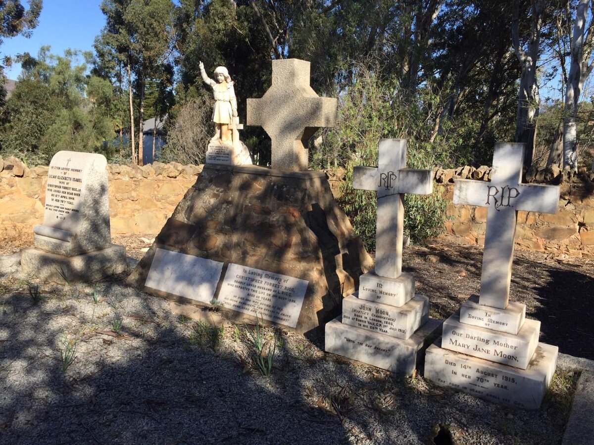 3. Overview / Oorsig