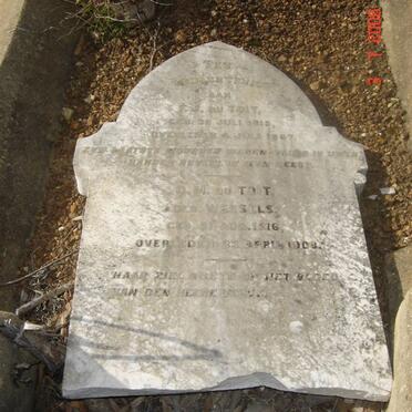 TOIT  D.M., du  nee WESSELS 1816-1908