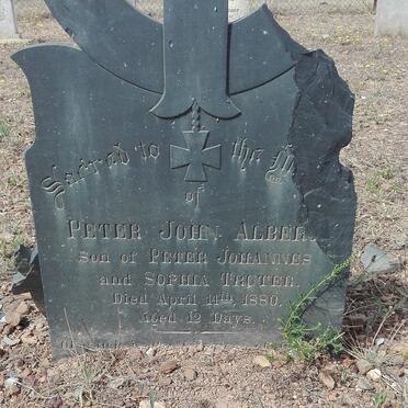 ALBERT Peter John 1880-1880