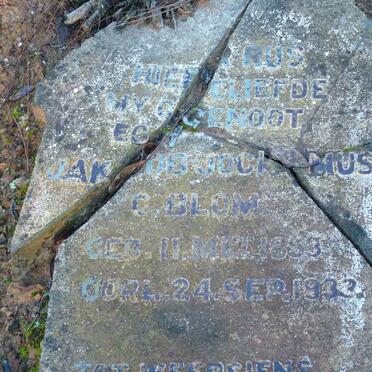 BLOM Jacobus Jochemus C. 1853-1933