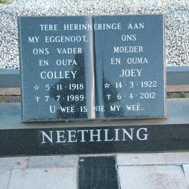 NEETHLING Colley 1918-1989 &amp; Joey 1922-2012