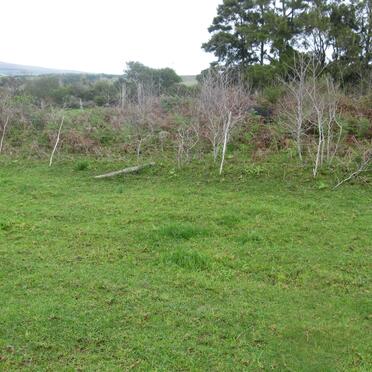 2. Overview / Oorsig