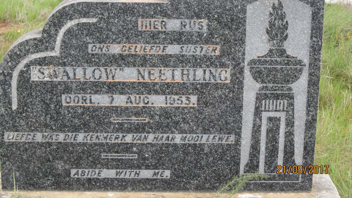 NEETHLING Swallow -1953