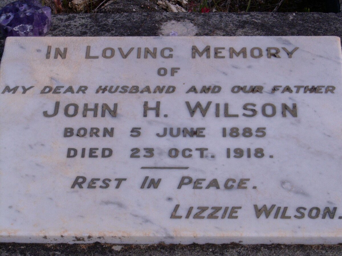 WILSON John H. 1885-1918