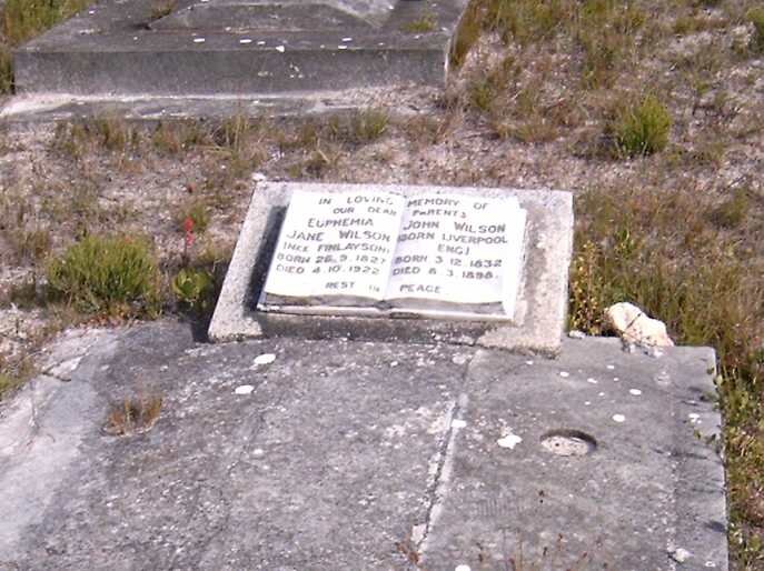 WILSON John 18?? &amp; Euphemia Jane FINLAYSON 18??-19??