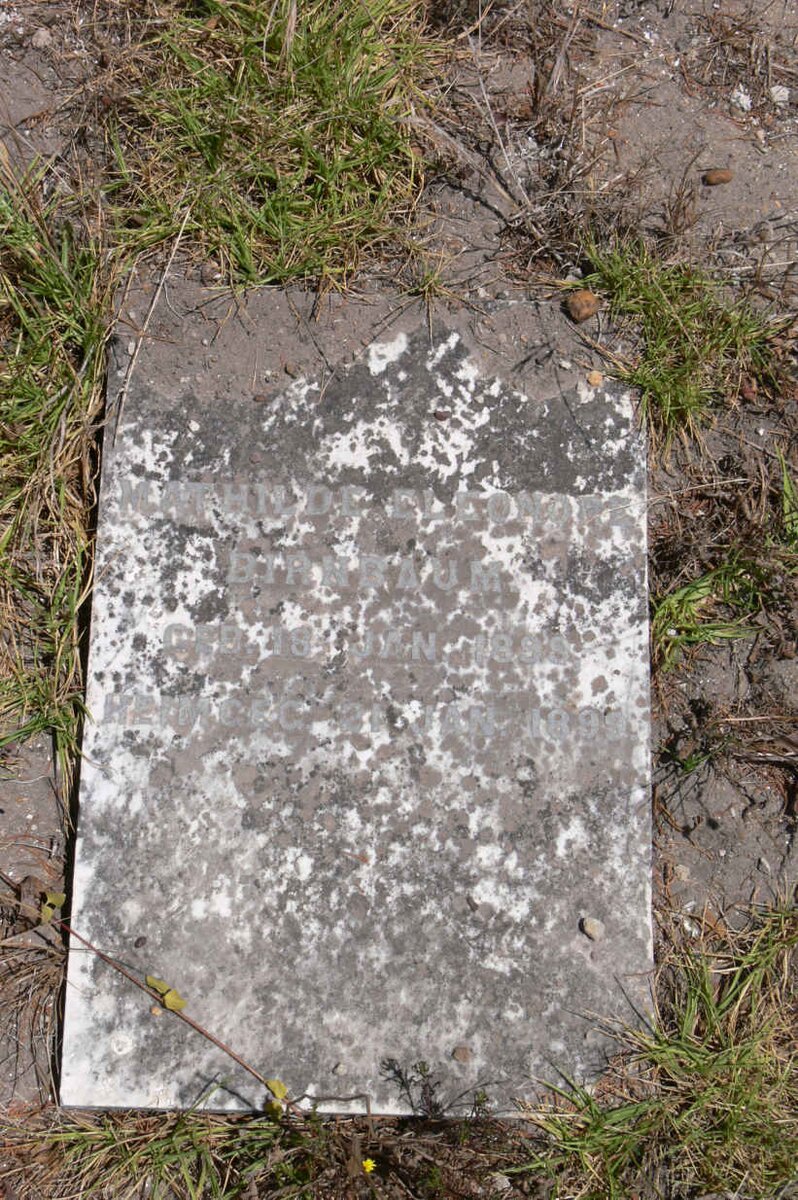 BIRNBAUM Marthilde Eleonora 1898-1899