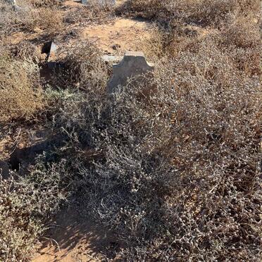 Western Cape, CALITZDORP district, Calitzdorp, Goedverwagting 35_2, farm cemetery