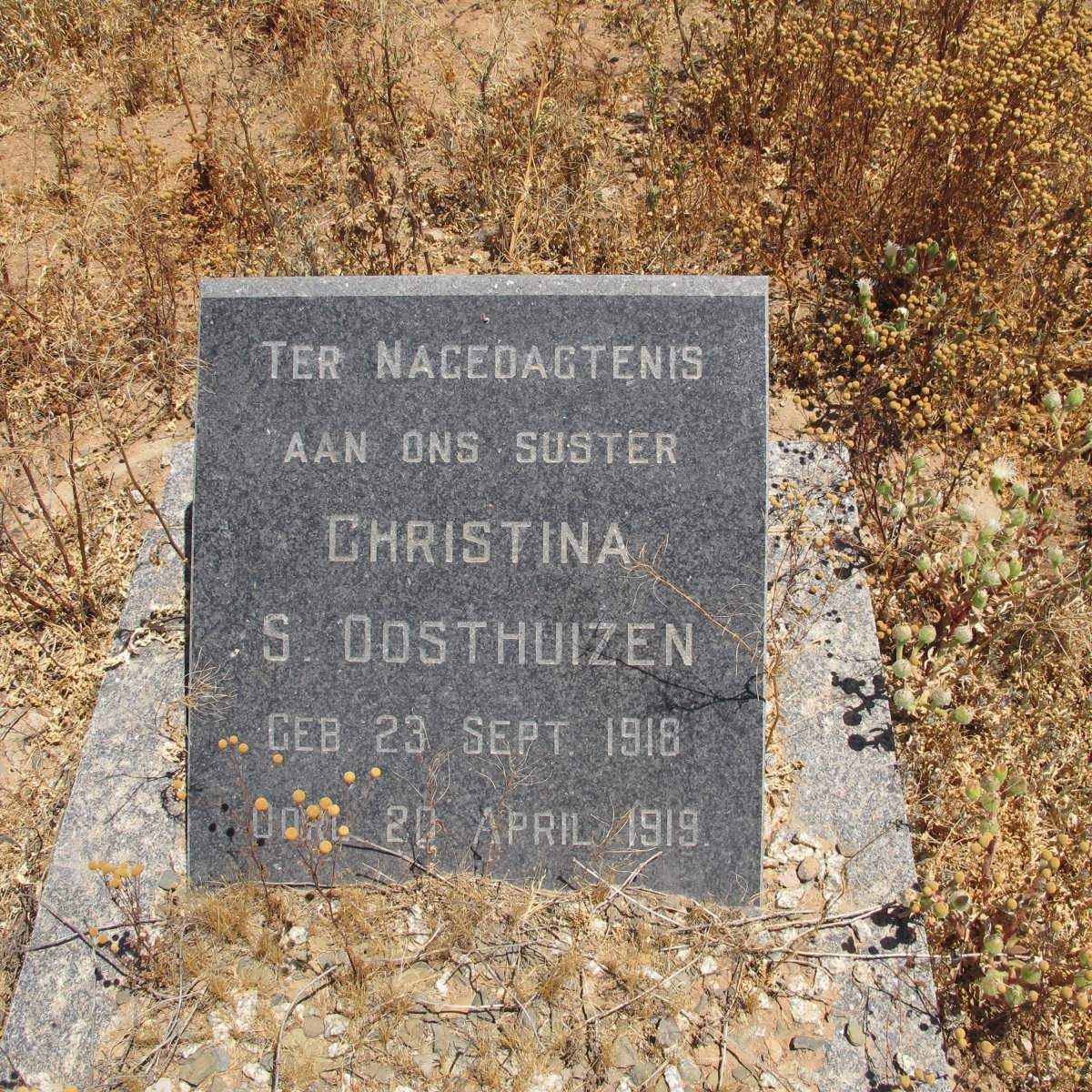 OOSTHUIZEN Christina S. 1918-1919