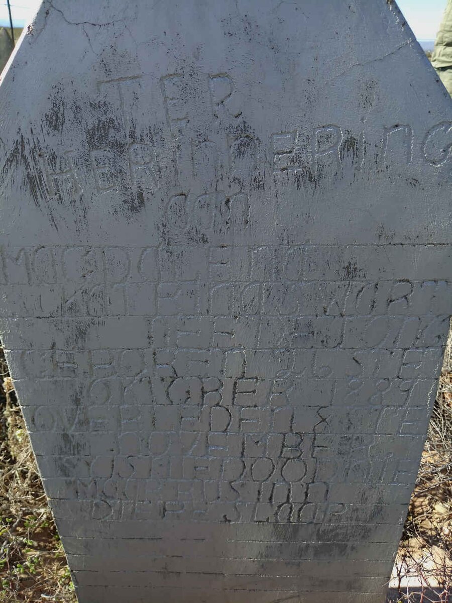 SWART Magdalena Katrina nee DE JONG 1889-_1