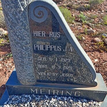 MEIRING Philippus J.A. 1929-1929