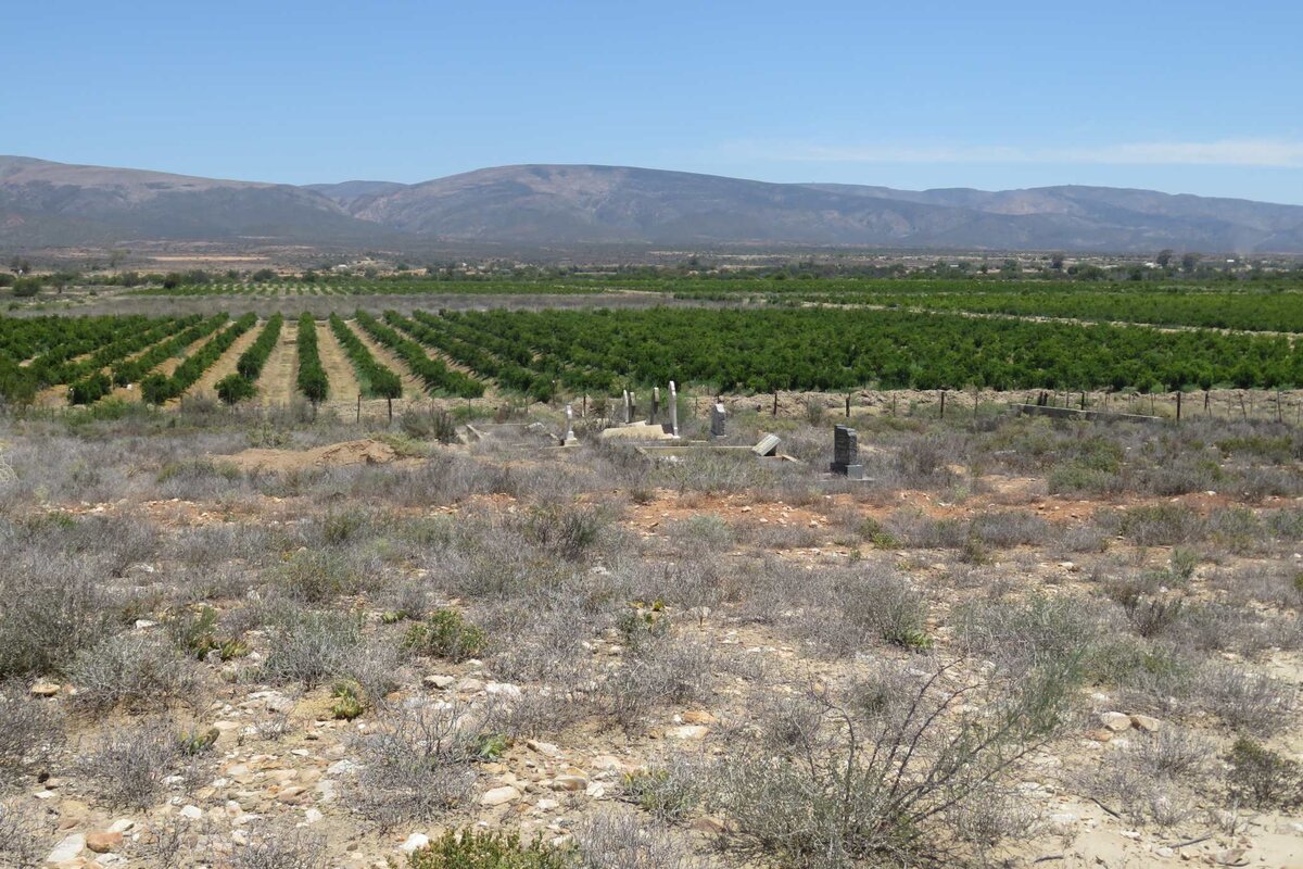 1. Overview / Oorsig