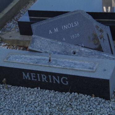 MEIRING A.M. 1928-1994