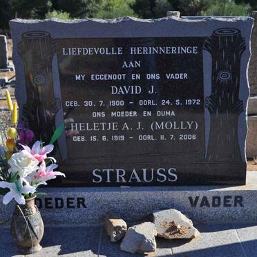 STRAUSS David J. 1900-1972 &amp; Heletje A.J. 1919-2006