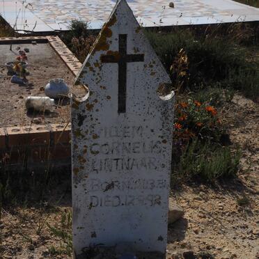 LINTNAAR Willem Cornelis 1954-1992