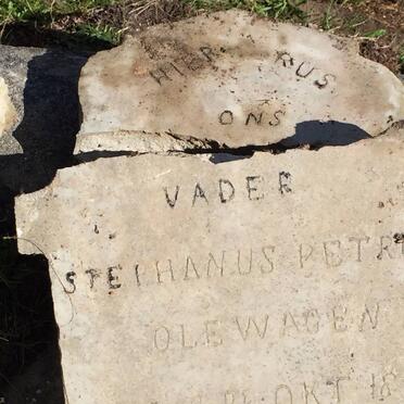 OLEWAGEN Stephanus Petrus 1865-1937