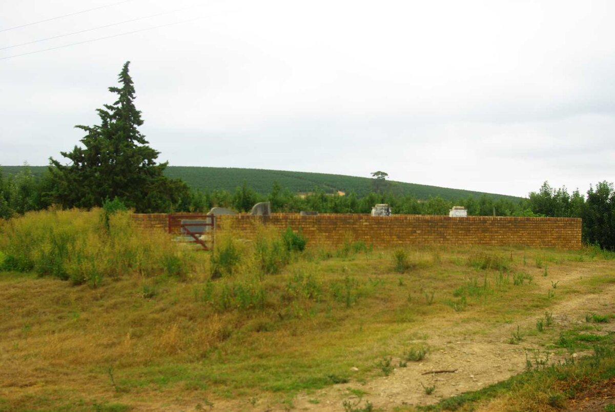 1. Oorsig / Overview