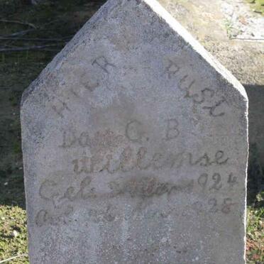 WILLEMSE Do? G.B. 1924-1928