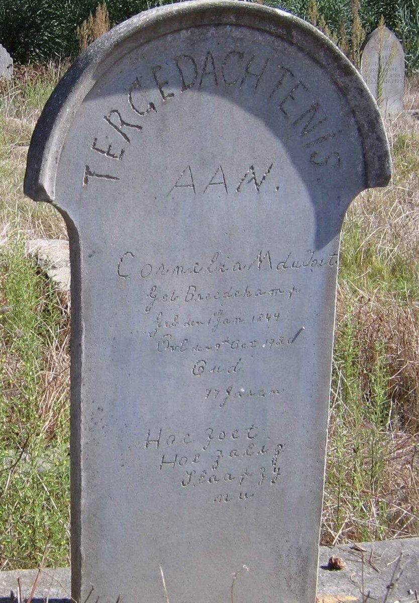 TOIT Cornelia M., du nee BREEDEKAMP 1844-1920