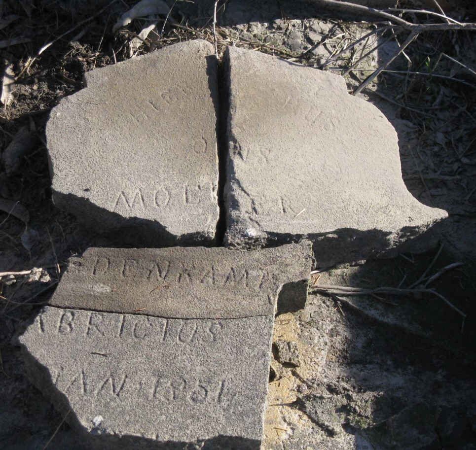 BREDENKAMP ? Fabricius 1851