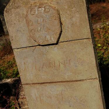 MONG Johannes Nicolas 1852-1938