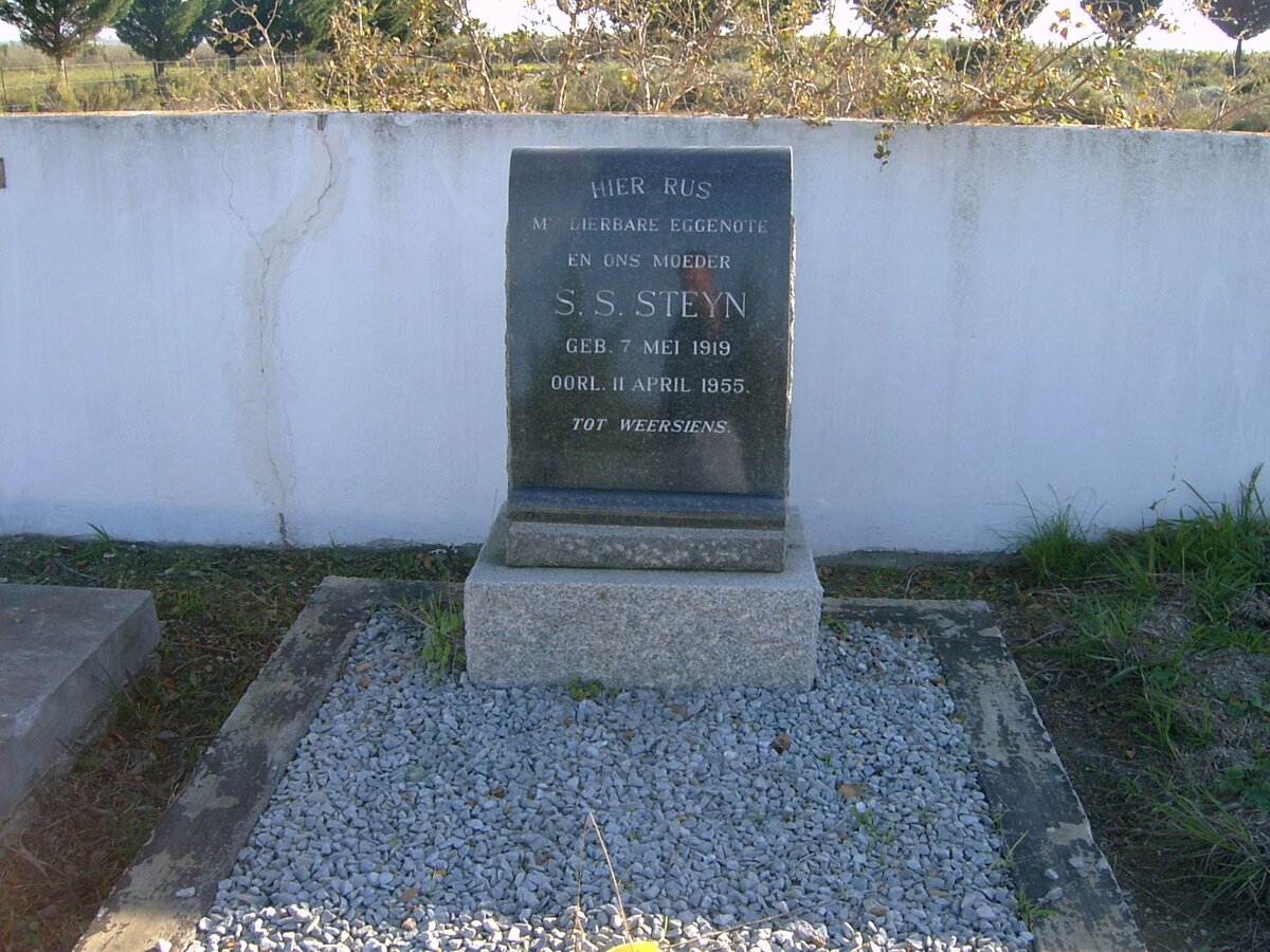 STEYN S.S. 1919-1955