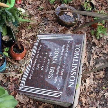 TOMLINSON Sonia Iris nee LENFORD 1929-2005