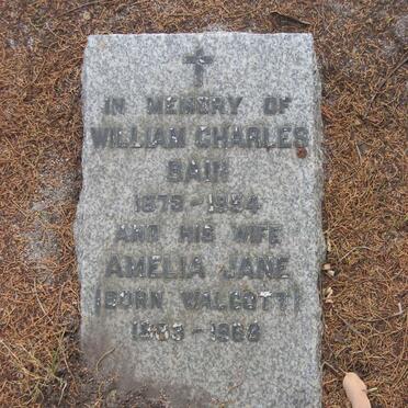 BAIN William Charles 1873-1954 &amp; Amelia Jane WALCOTT 1883-1968