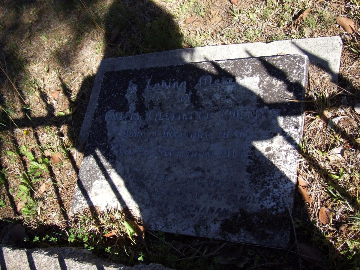 COLLINS Anna Clemence 1831-1915