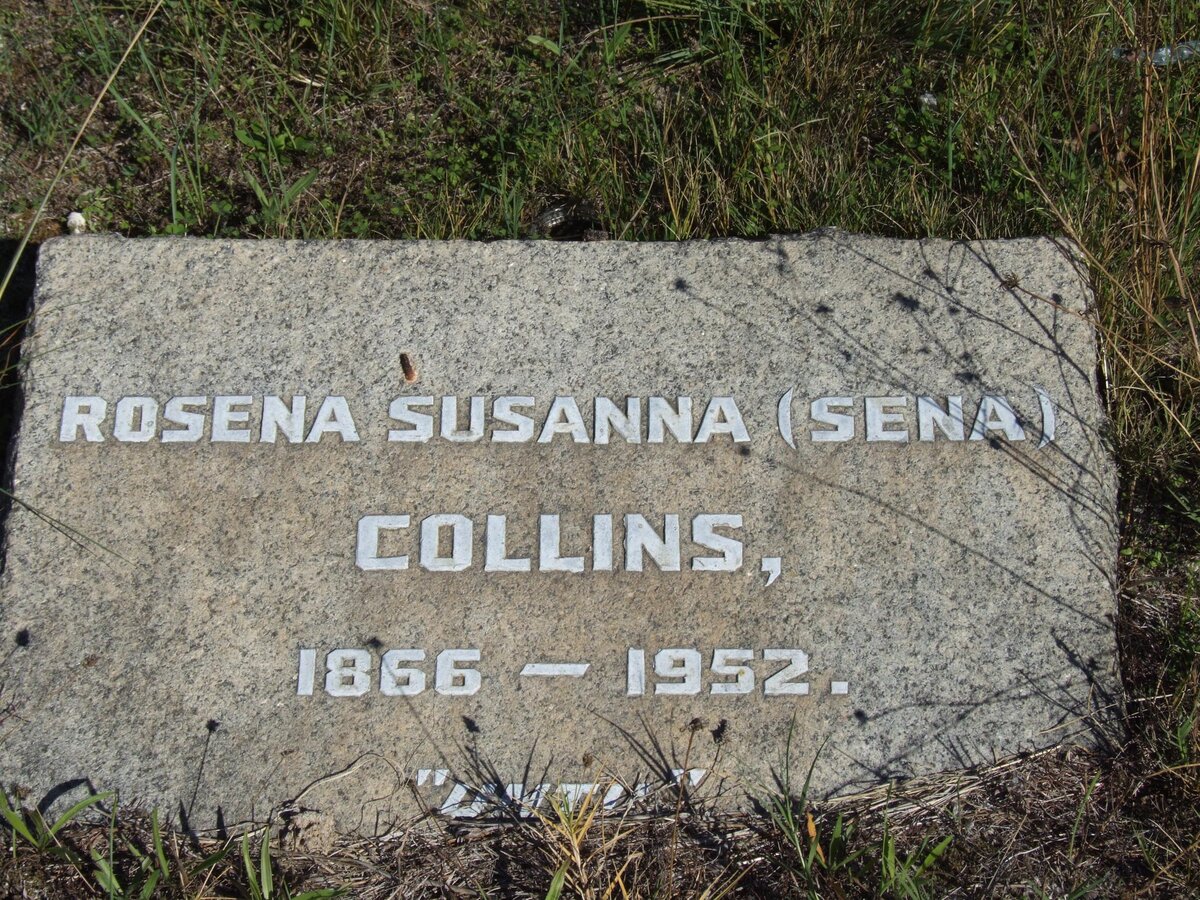 COLLINS Rosena Susanna 1866-1952