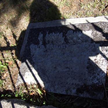 COLLINS Anna Clemence 1831-1915