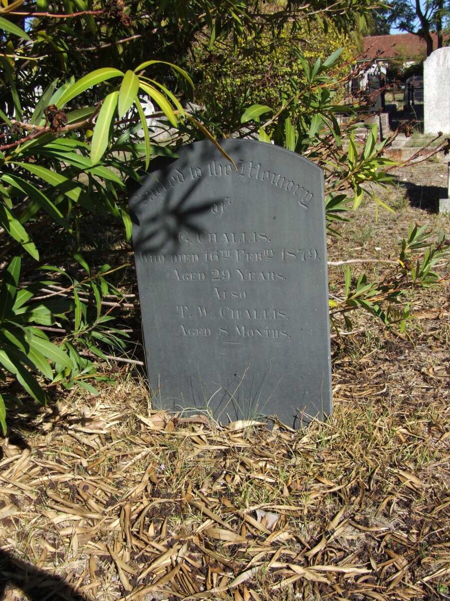 CHALLIS G. -1879  :: CHALLIS T.W.