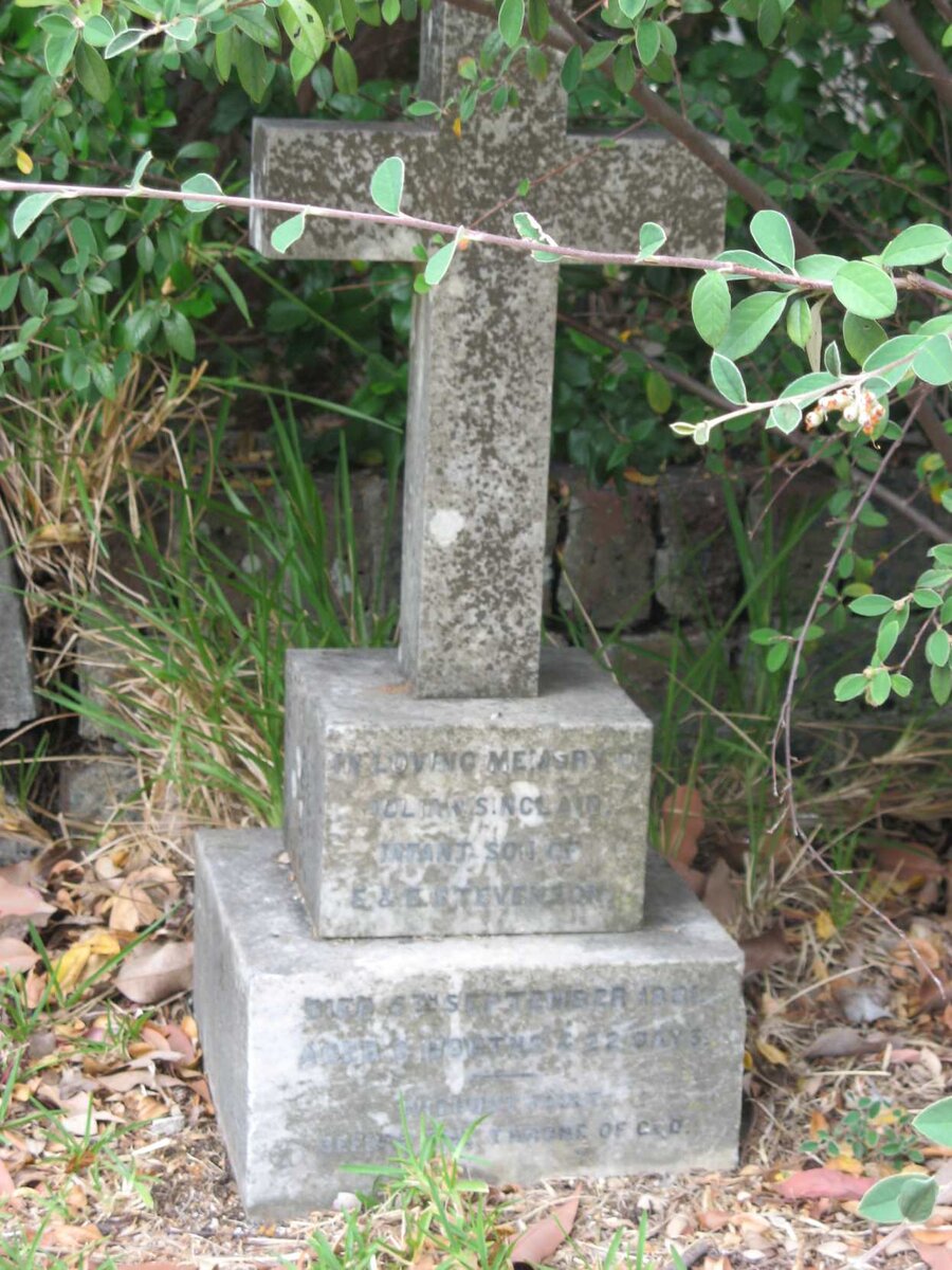 STEVENSON ? Sinclair