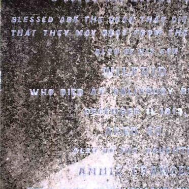 TAYLOR Wilfrid 1863-1913