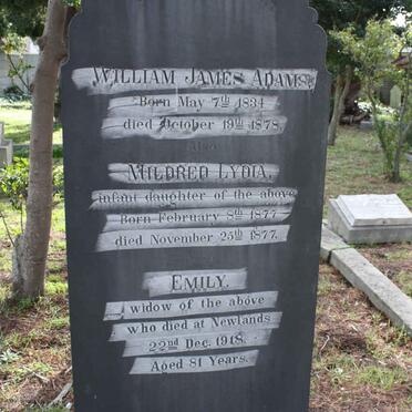 ADAMS William James 1834-1878 &amp; Emily -1918 :: ADAMS Mildred Lydia 1877-1877