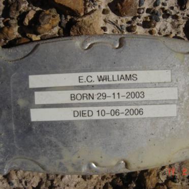 WILLIAMS E.C. 2003-2006