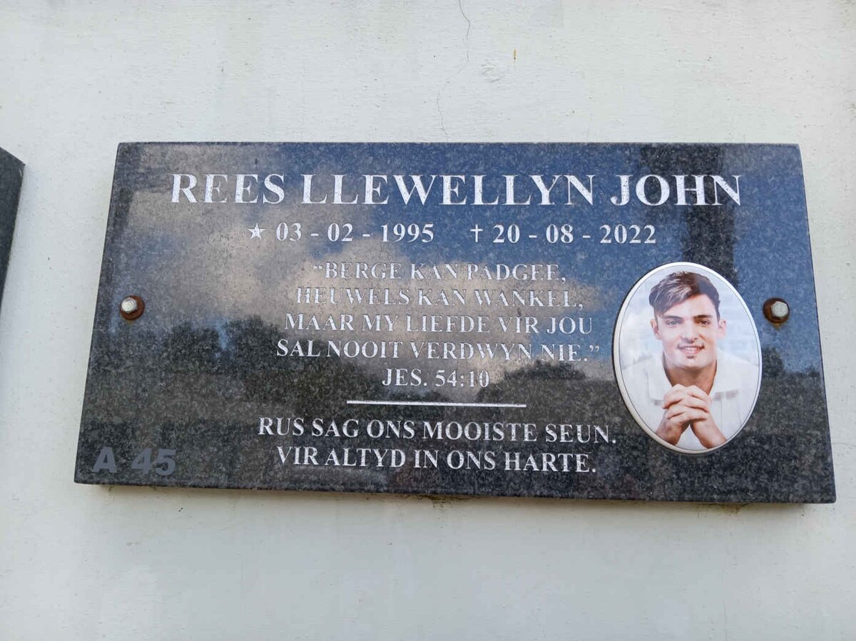 JOHN Rees Llewellyn 1995-2022