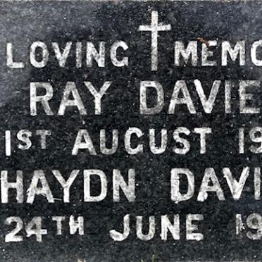 DAVIES Ray -1990 &amp; Haydn -1994